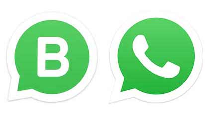 Whatsapp Business x Whatsapp