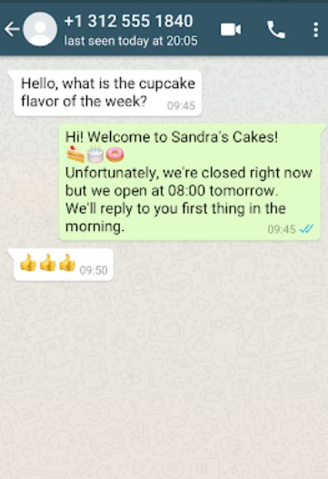 whatsapp business mensagem