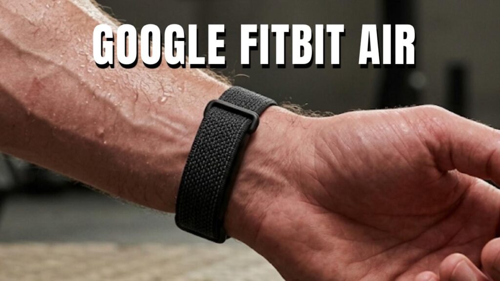 Google Fitbit Air