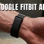 Google Fitbit Air