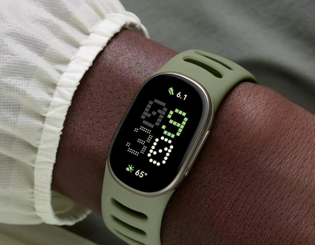 fitbit google